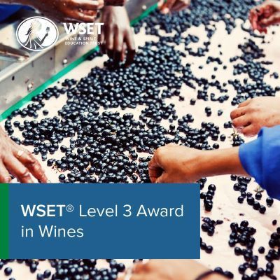 WSET Level 3 Award in Wines - condensed