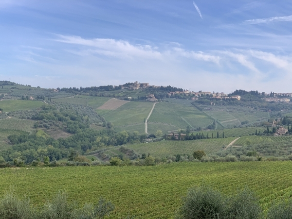Sangiovese Masterclass
