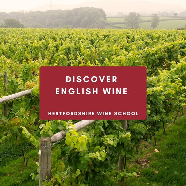 Discover English Wine