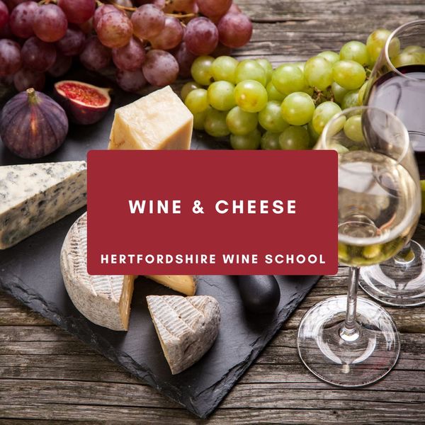 Wine & Cheese Pairing 