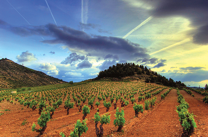 Discover Rioja