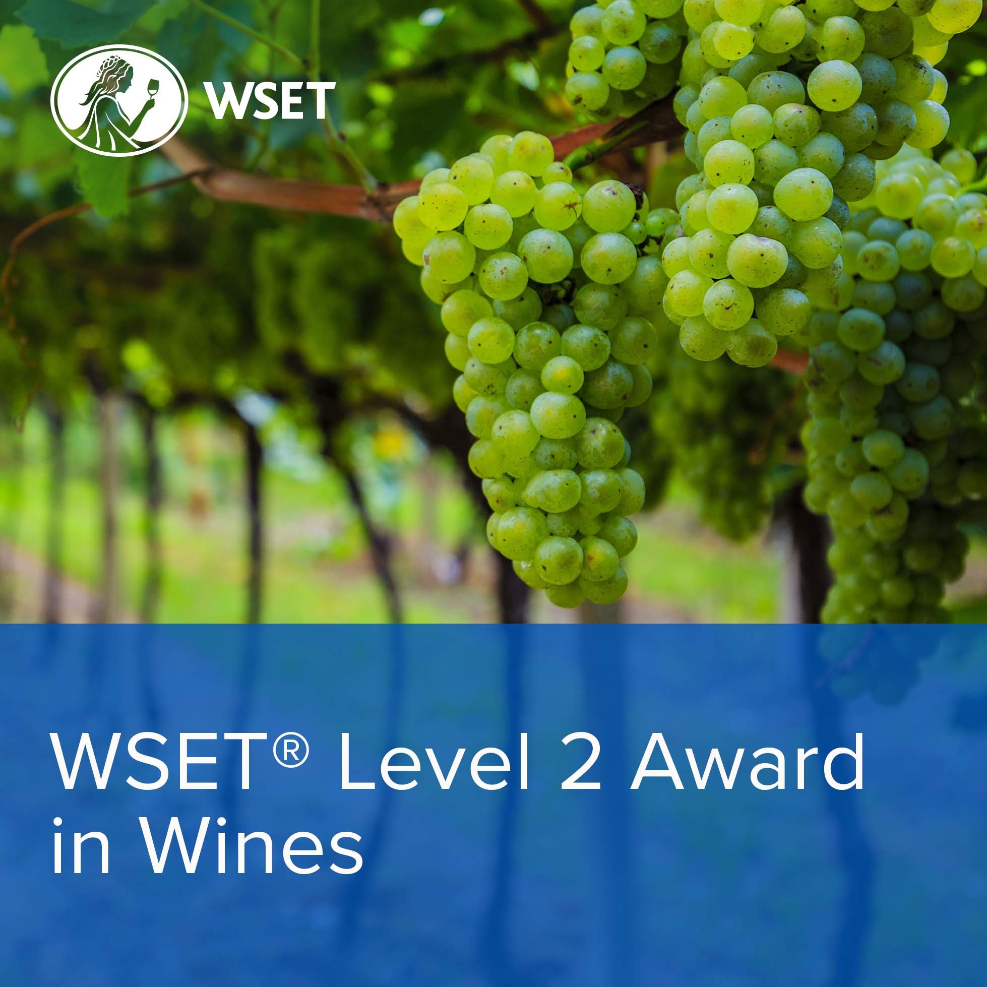  WSET Level 2 Award in Wines Course: Evening Format (Classroom)  