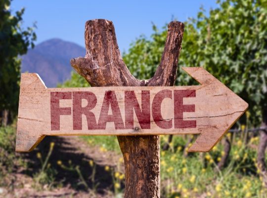  Explore the Wines of France - 3 week course - Chelmsford            