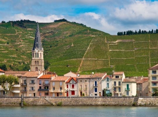 Tour de France: Rhone, Languedoc-Roussillon & Provence