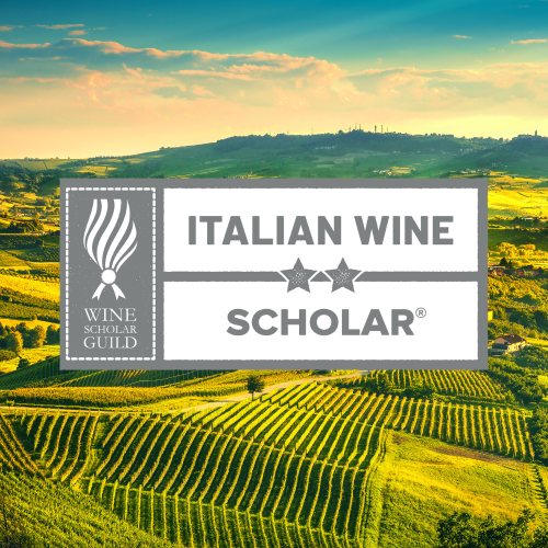  NEW Italian Wine Scholar Unit 1 (The North)    