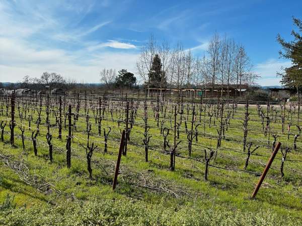 475066587_18340345711151268_184164885868770119_n