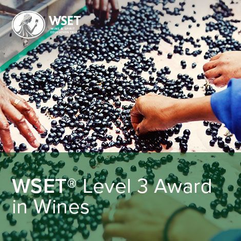 WSET Level 3 in Wines   