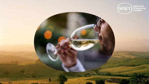 WSET-Image-Bank-for-APPs_WINES-(2)-Web