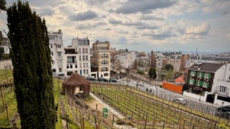 Wine Holidays - Paris