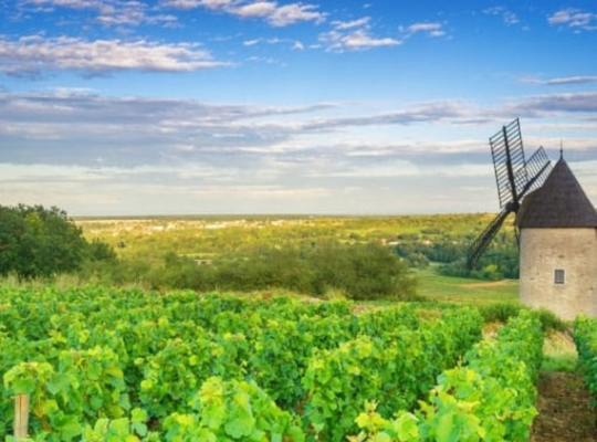World of Wine - Burgundy & Loire