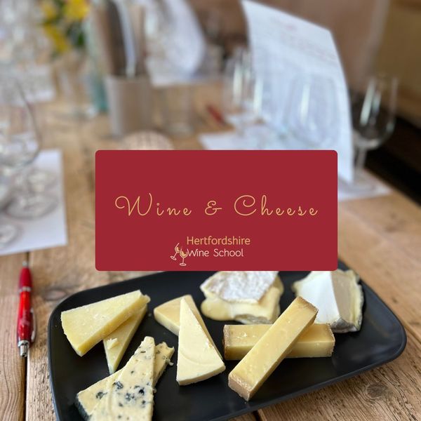 Wine & Cheese Pairing 