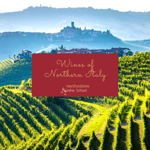 Wines of Northern Italy