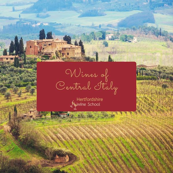 Wines of Central Italy