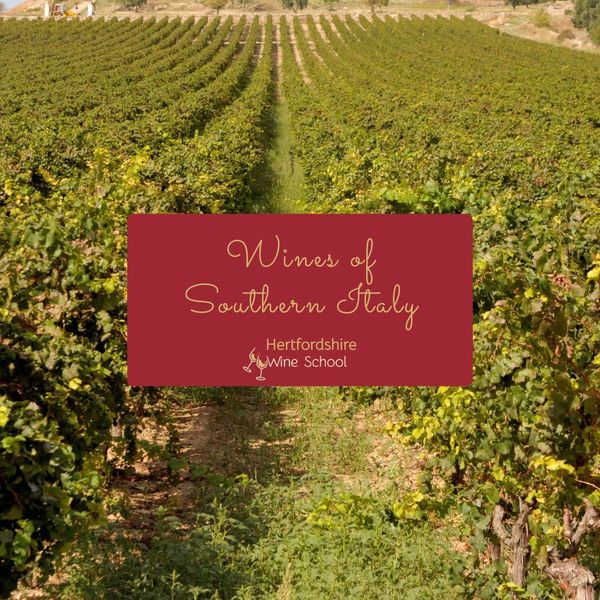 Wines of Southern Italy