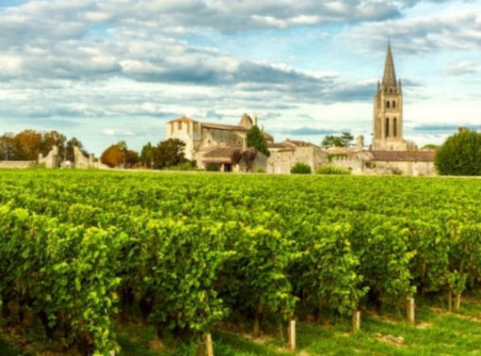 World of Wine - Bordeaux & Rhone