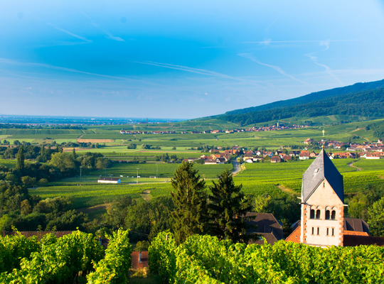 World of Wine - Alsace, Germany & Austria