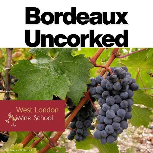 Bordeaux Uncorked Part II: Left Bank – Gravel, Glory & the Kingdom of Cabernet
