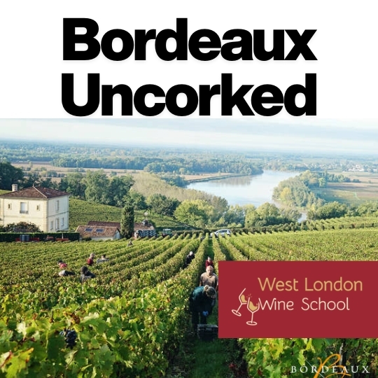 Bordeaux Uncorked Part III: Right Bank – Merlot, Medieval Magic & Hidden Treasures