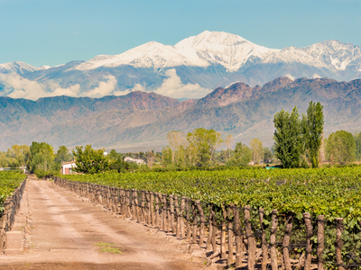 Wonderful World of Wine - Chile & Argentina 