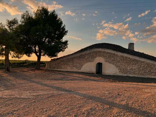 YWS on Tour - Laura and Laura's Meseta Marvels