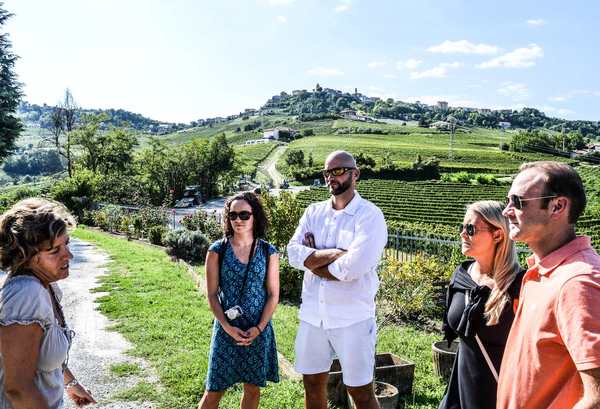 Piemonte Wine Tour - Information Request