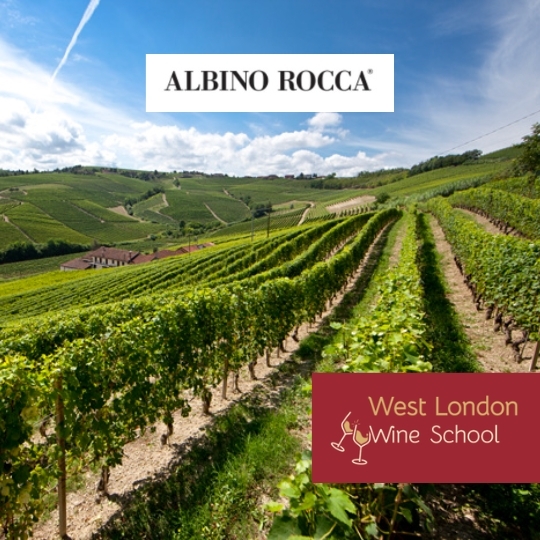 Meet-The-Winemaker: Monica Rocca of Albino Rocca - Four Generations of Barbaresco