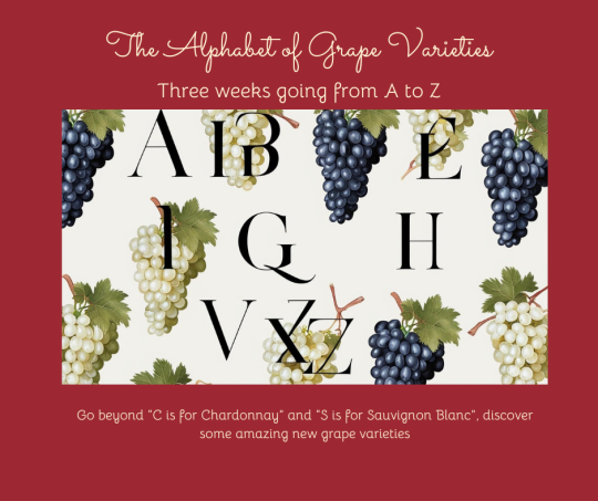 The Alphabet of Grapes Part 1 