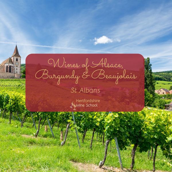 Wines of Alsace, Burgundy & Beaujolais - St Albans