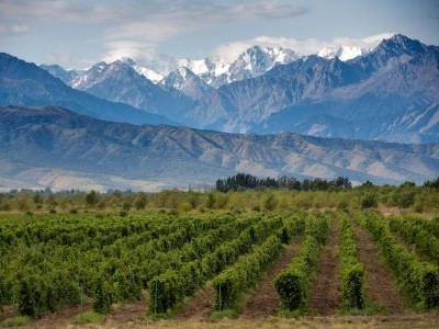 World of Wine - Chile and Argentina