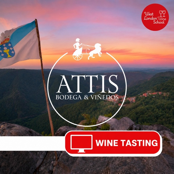 Attis - Atlantic wines from Galicia with Jimmy Smith