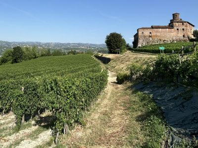 Italian Wine Explorer - Piedmont and North West Italy