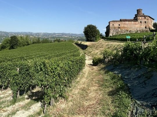 Italian Wine Explorer - Piedmont and North West Italy