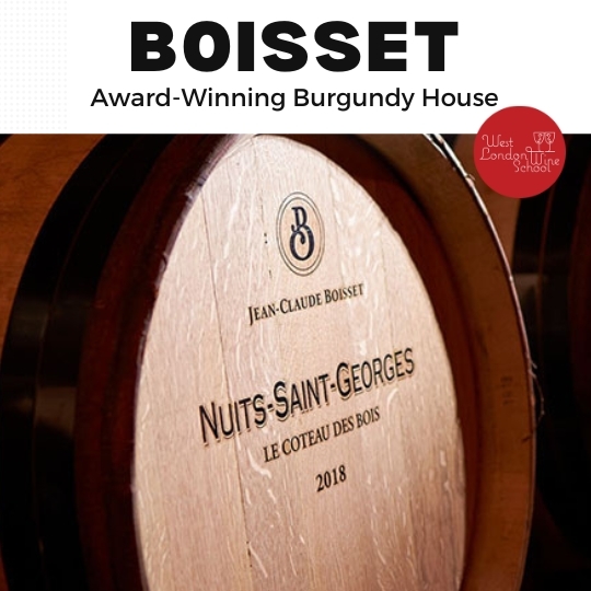 Fine Wine: Boisset - award-winning Burgundy house