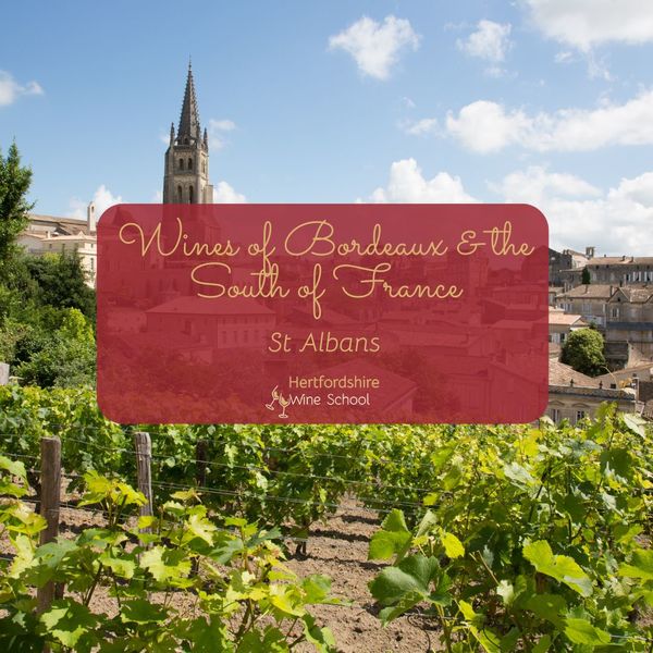 Wines of Bordeaux and the South of France - St Albans