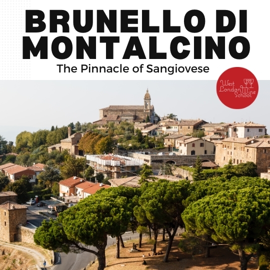 Fine Wine: The Pinnacle of Sangiovese - Brunello di Montalcino 2020 Horizontal
