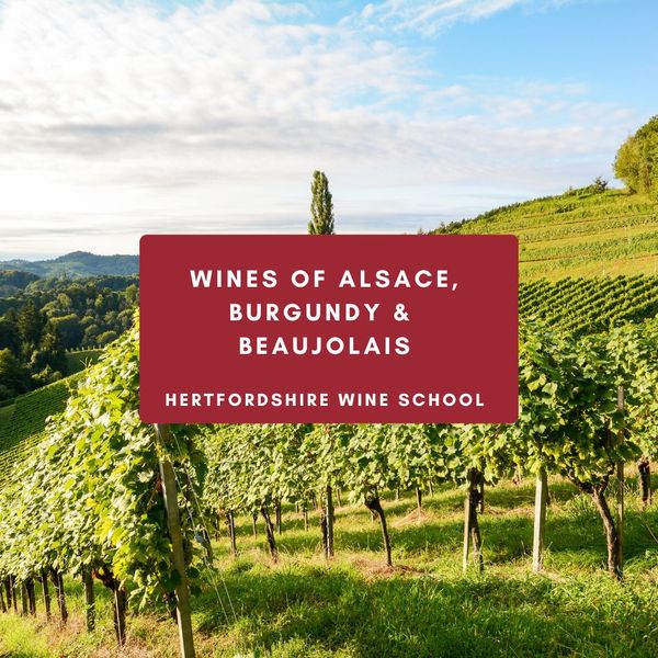 Wines of Alsace, Burgundy & Beaujolais