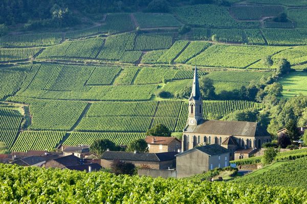 Fine Wine: Boisset - award-winning Burgundy house