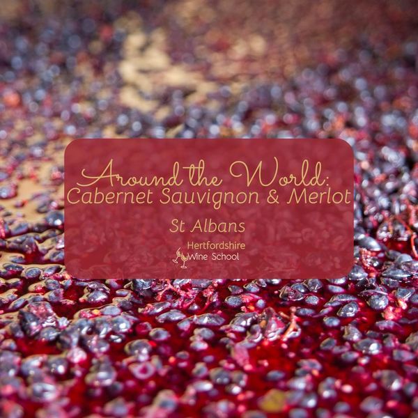 Around the World: Cabernet Sauvignon & Merlot (St Albans)