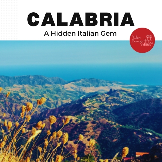Wine Masterclass: Calabria - a hidden Italian gem