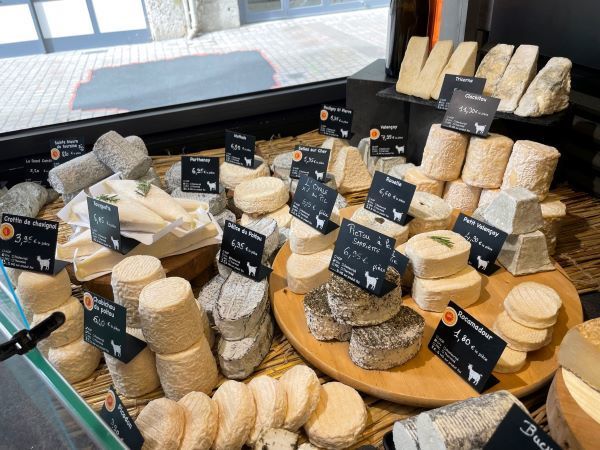 French Wine and Cheese Pairing 