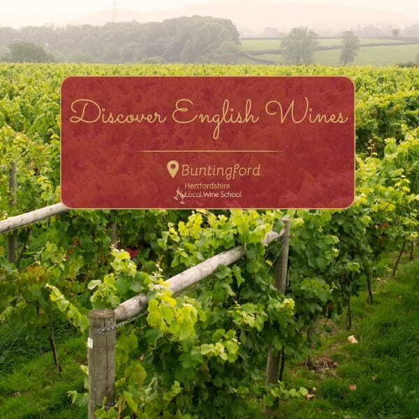 Discover English Wines (Buntingford)