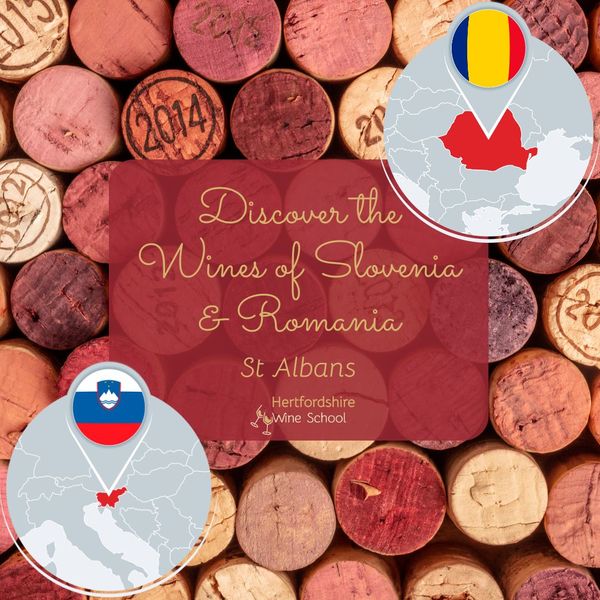 Discover the Wines of Slovenia & Romania - St Albans