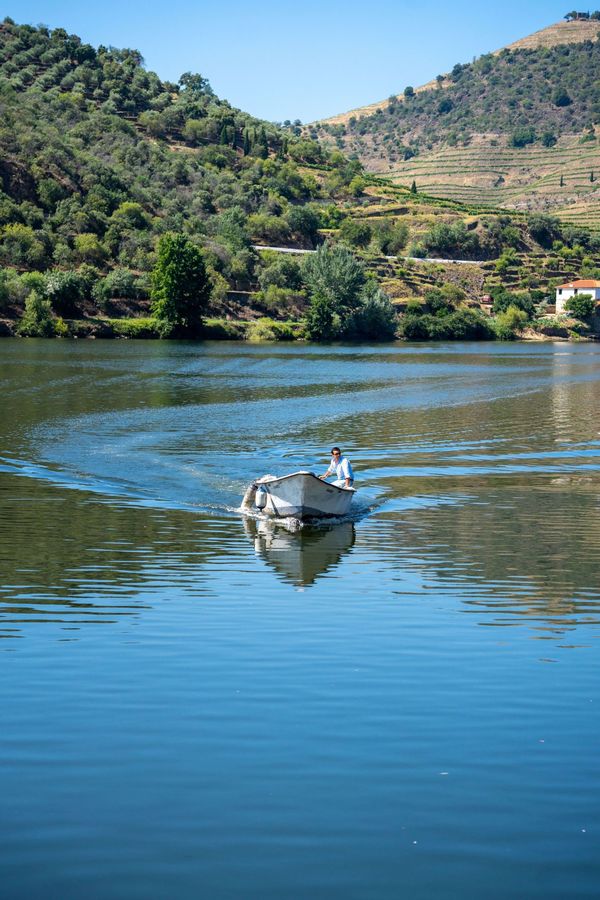 SCHOOL OF PORT: Early Summer Port Journey on the Douro