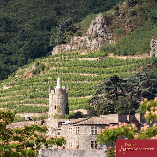 Rhône Masterclass with Maria (including Châteauneuf-du-Pape)