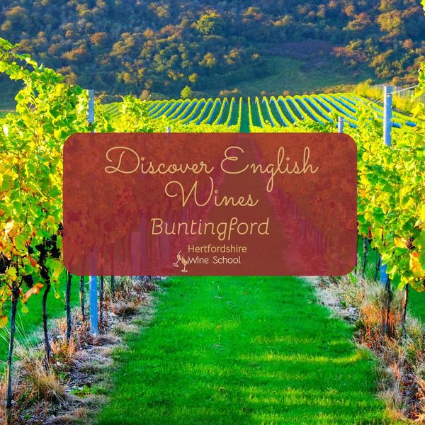 Discover English Wines - Buntingford