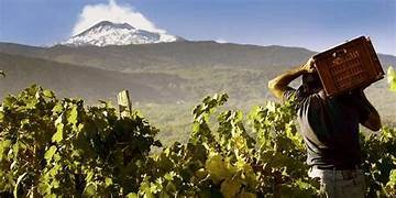 Masterclass: The Wines of Etna with Benjamin Spencer