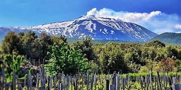 Masterclass: The Wines of Etna with Benjamin Spencer