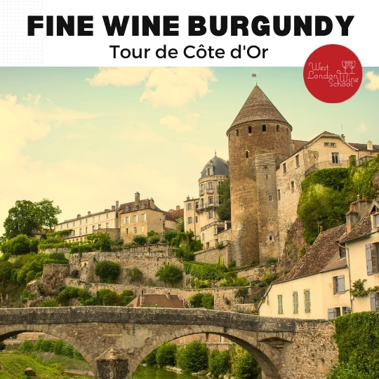 Fine Wine Burgundy: Tour de Côte d'Or