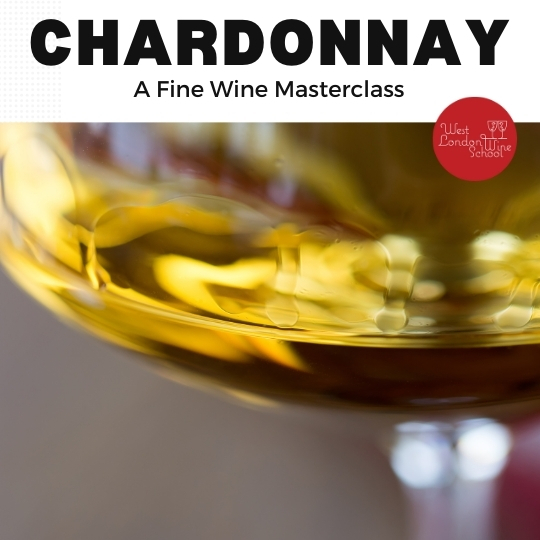 Fine Wine: Chardonnays of the World