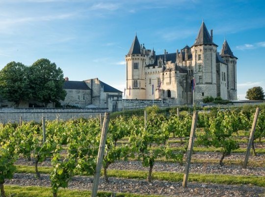 World of Wine - France